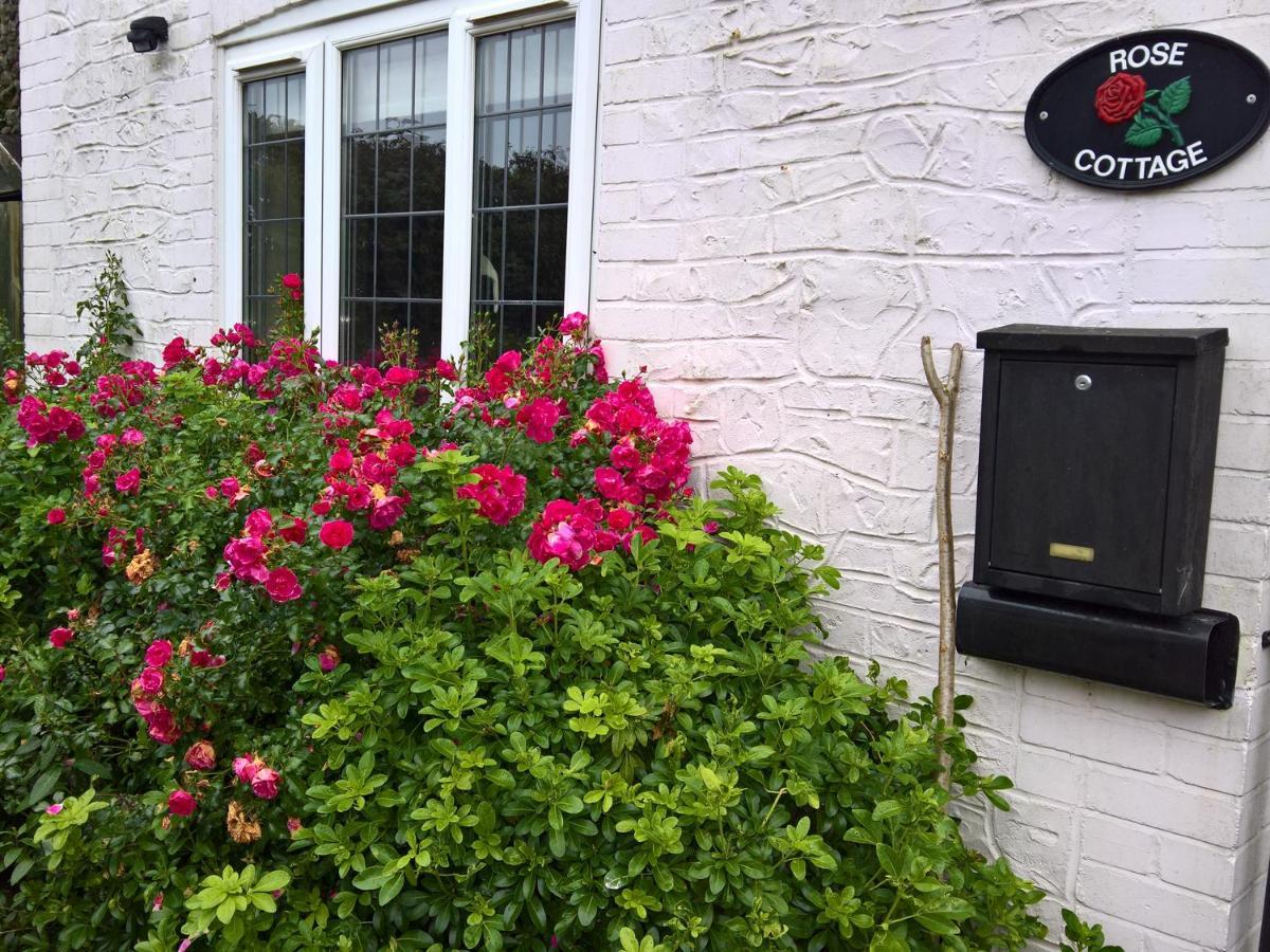 Rose Cottage Chard Ngoại thất bức ảnh